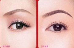 仿生植眉——?jiǎng)⑿〗? /></a></div>
                        <span><h1><a href=