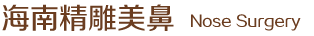 海南精雕美鼻